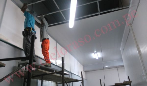 Proyecto Local Comercial